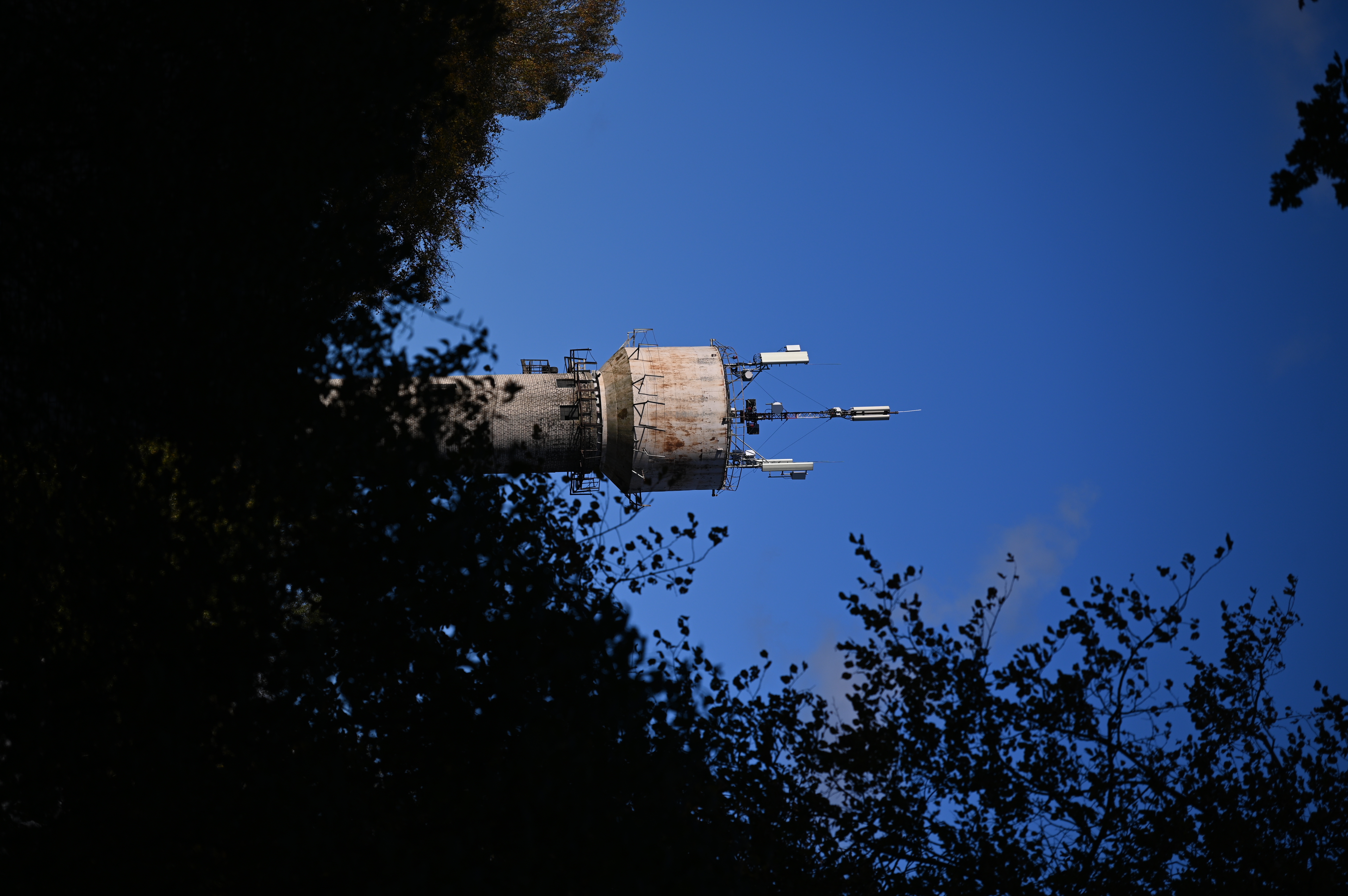 2025/10/18 - walk/DSC_0132.JPG